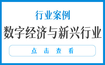 行业案例 - 数字经济与新兴领域