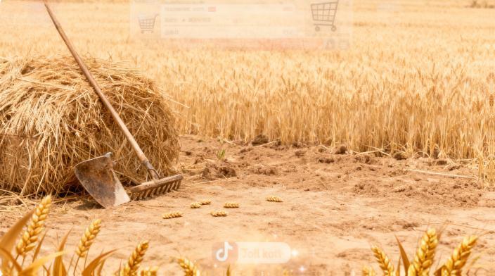 真诚破局！抖音李福贵凭乡村温情走红，带货首秀 GMV 破 2500 万