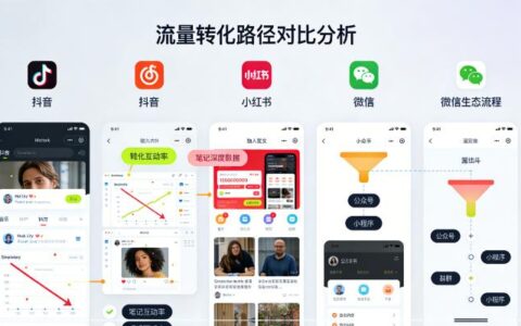 新媒体数据分析：不同平台流量转化路径